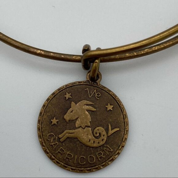 🍭6/$30 Alex & Ani Capricorn Charm Bracelet - Picture 2 of 5